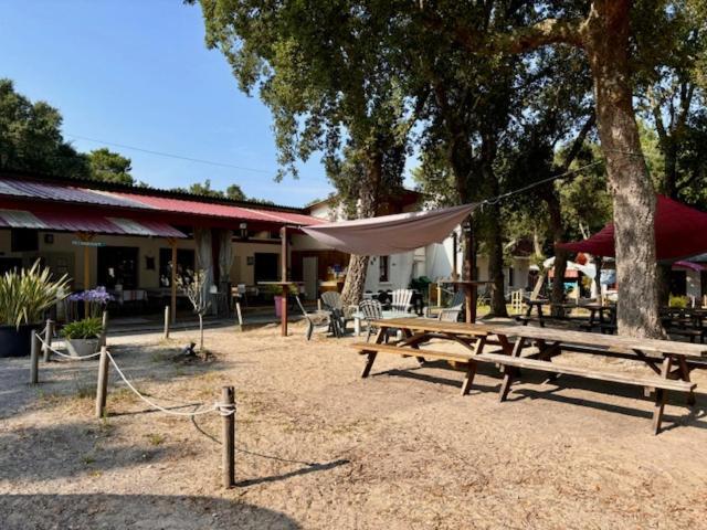 Nouvel Horizon Guest Center Landes Hostel วิเยอซ์-บูโก-เลส์-แบ็งส์ ภายนอก รูปภาพ